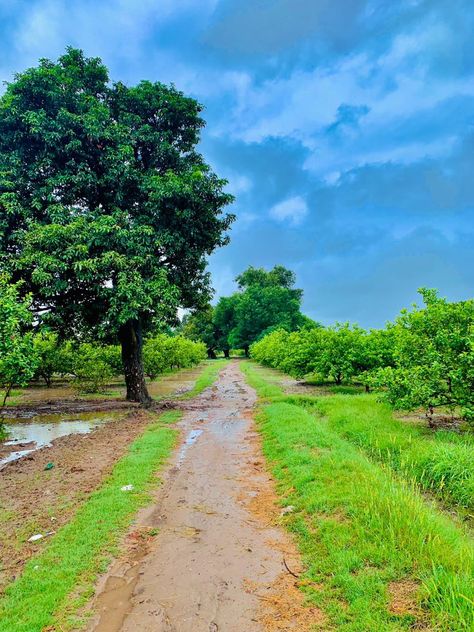 Beautiful rainy morning in village, most beautiful nature scene Nature, Natural Village Pic, Village Morning Photography, Beauty And The Beast Reading, Rain In City, Sun After Rain, Village Morning, Rain Pic, Village Pictures