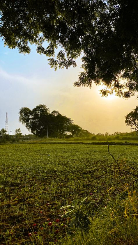 Sunrise 
Sunrise in Village
Nature Scene
Sunrise Photography Morning Nature Snap, Village Vibes Snap, Natural Village Pic, Village Morning Snap, Village Morning Photography, Village Vibes Aesthetic, Sun Rise Photography Mornings, Morning View Snap, Village Landscape Photography Nature