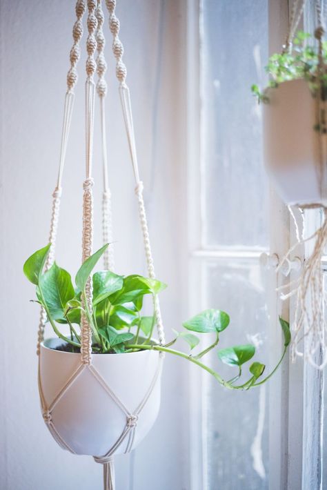 A detailed step by step Macrame Plant Hanger tutorial! With lots of pictures, videos and links! Diy Macrame Plant Hanger Tutorials, Plant Hanger Tutorial, Diy Macrame Wall Hanging, Macrame Wall Hanging Tutorial, Macrame Plant Hanger Tutorial, Macrame Plant Hanger Patterns, Hemma Diy, Diy Macrame Plant Hanger, Hanger Diy