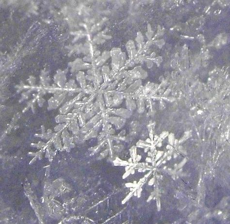 Mother and Child  by Julie Falk Winter Princess, Snow Princess, Snow Crystal, Winter Fairy, I Love Winter, Snow Flakes, Ice Princess, Snow Angels, Winter Beauty