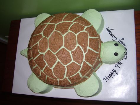 Easy Turtle Cake Birthdays, Turtle Cake Decoration, Oreo Turtle Cake, Tortoise Cake Birthdays, Turtle Cakes Ideas, Turtle Shaped Cake, Turtle Cake Birthday, Turtle Cake Design, Turtle Smash Cake