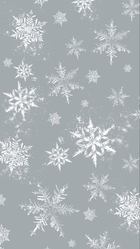 A phone wallpaper with an icy blue background with white delicate snowflakes in different sizes around the screen. Natal, White Snowflake Aesthetic, Blue And White Christmas Wallpaper, White Winter Background Aesthetic, Winter Asthetics Wallpaper, Winter Theme Wallpaper Aesthetic, Snowflake Pattern Wallpaper, Cute Winter Aesthetic Wallpaper, Christmas Wallpaper Aesthetic Blue