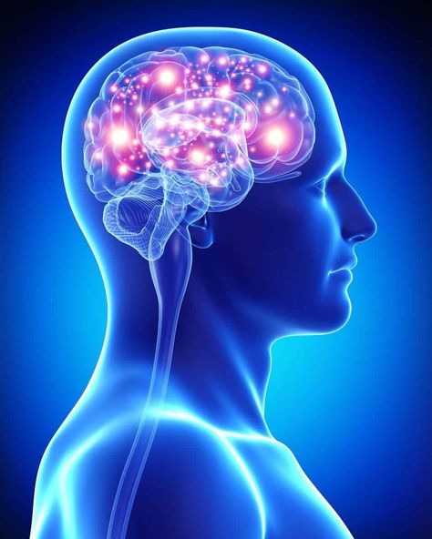 One or more of these five tips for keeping your brain functioning at full capacity may surprise you. Sharp Mind, Iv Vitamin Therapy, Increase Memory, Brain Memory, Gut Brain, Nerve Cell, Train Your Brain, Mental Training, Gray Matters