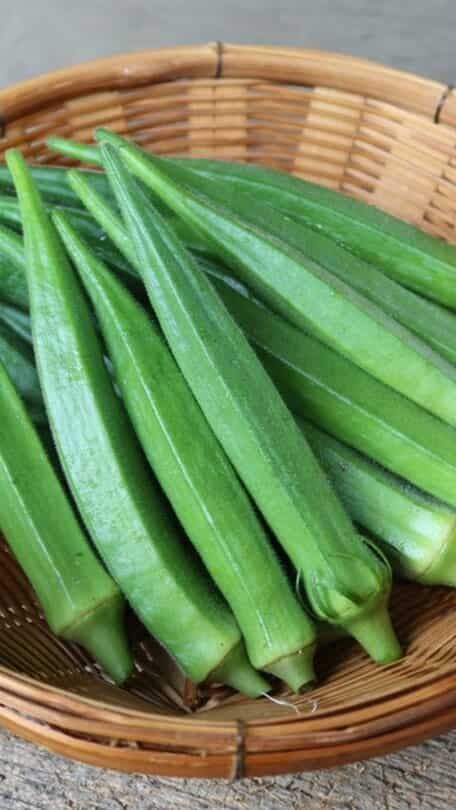 Okra Health Benefits, Okra Benefits, How To Cook Okra, Fruits And Vegetables Pictures, Pickled Okra, Vegetables Photography, Vegetable Pictures, Okra Recipes, Fotografi Alam Semula Jadi