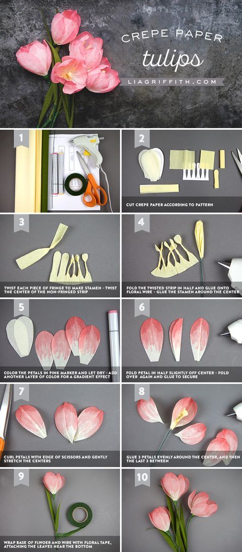 Crepe Paper Tulips Lia Griffith Paper Flowers, Tulips Diy Crafts, Tulips From Paper, Crepe Flower Template, Handmade Tulips Flower, Tulip Diy Paper, Tulip Paper Flower Diy, How To Make Paper Tulips, Diy Tulips Paper