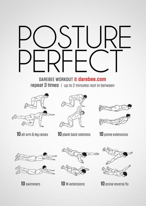 Posture Perfect will help you achieve a better posture and greater body control. #acidrefluxworkout Bolesti Chrbta, Muscle Abdominal, Latihan Yoga, Posture Exercises, Perfect Posture, Muscles In Your Body, Better Posture, Trening Abs, Stretching Exercises