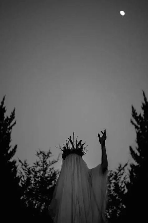 Dark Royal Aesthetic, Winter Solstice Rituals, Dark Royalty Aesthetic, Dark Christmas, Royalty Aesthetic, Photography Black And White, White Witch, Gothic Aesthetic, Arte Obscura