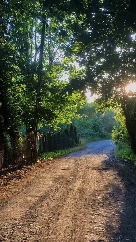 #forest #sunset #summer #tree #walking #aesthetic #peaceful #magic #sun #green #warm Nature, Forest Walks Aesthetic, Summer Forest Wallpaper, Summer Trees Aesthetic, Green Outdoor Aesthetic, Forest Walk Aesthetic, Warm Green Aesthetic, Calm Nature Aesthetic, Aesthetic Morning Routine List