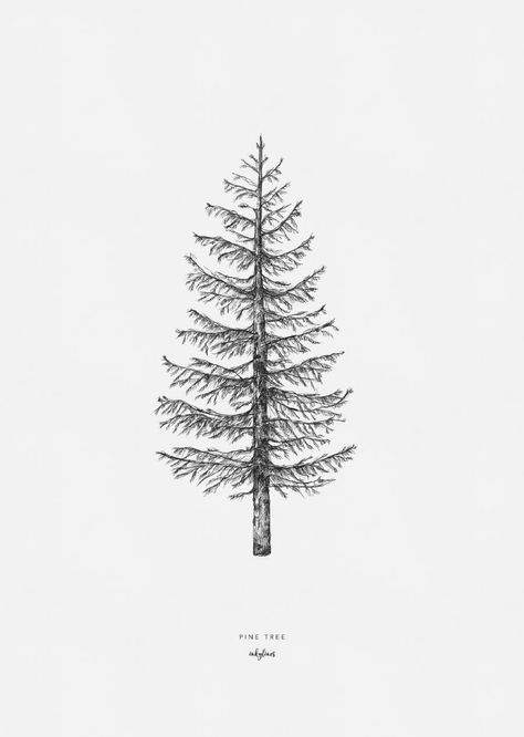 Pine Tree Illustration Simple, Simple Pine Tree Tattoo, Winter Tree Drawing, Pine Tree Sketch, Tree Tattoo Drawings, Pine Tattoo, Tree Drawing Simple, Pine Tree Drawing, Drawing Tree