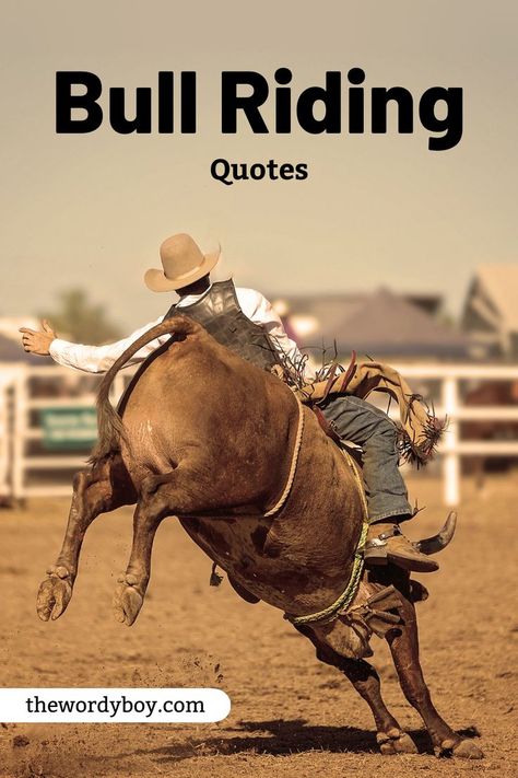 Bull Riding Quotes 
Bull Riding Sayings Bull Rider Quotes, Bullriding Quotes, Bull Riding Quotes, Roping Quotes, Prca Rodeo, Bull Quotes, Pbr Bull Riders, Rider Quotes, Pbr Bull Riding