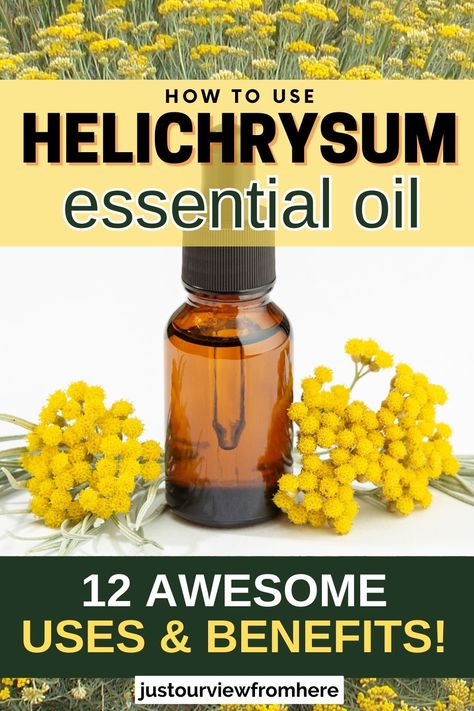 field of helichrysum flowers in background, a small amber glass bottle of essential oil and helichrysum flowers, text overlay how to use helichrysum essential oil, 12 awesome uses and benefits Diy Skin Serum, Helichrysum Essential Oil Uses, Essential Oil For Spiders, Essential Oils For Laundry, Helichrysum Essential Oil, Diy Essential Oil Recipes, Essential Oils For Pain, Doterra Essential Oils Recipes, Essential Oils Guide