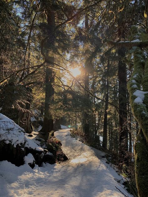 Nature, Sokcho, Bariloche, Winter Hayle, Photography Snow, The Lunar Chronicles, Mountain Aesthetic, Mountains Aesthetic, Mountain Snow