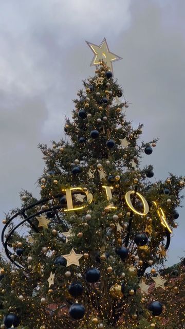 BRIANNA | travel + lifestyle on Instagram: "Well I do love a @dior Christmas tree! ✨Just wow @distilleryto 🥹 #distillerydistrict #distillerydistricttoronto #wintermarket #distillerywintervillage #toronto #torontoblogger #dior #diorforever #diorchristmas #christmasmarket #christmastree #diortree #distillerydistrictchristmasmarket #likesforlike #likesforlikesback #followforfollowback #christmas #christmasdecor #christmastime #christmasmood #christmaslights" Dior Christmas Tree, Dior Christmas, Christmas Posters, Dior Forever, Christmas Mood, Christmas Tree Decoration, Christmas Market, Do Love, Tree Decoration