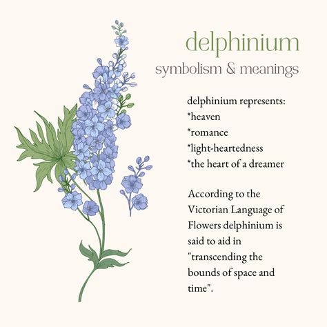 delphinium meanings and symbolism Delphinium Flower Meaning, Larkspur Flower Meaning, Flowers Names And Meaning, Larkspur Meaning, Delfinium Flower Tattoo, Delphinium Meaning, Delphinium Aesthetic, Larkspur Flower Aesthetic, Delphinium Flower Aesthetic