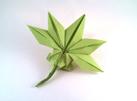 Origami Trees and Plants - Page 2 of 3 | Gilad's Origami Page Origami Maple Leaf, Origami Plants, Origami Plant, Origami Tree, Maple Seed, Origami Leaves, Origami Book, Origami Diagrams, Japanese Origami