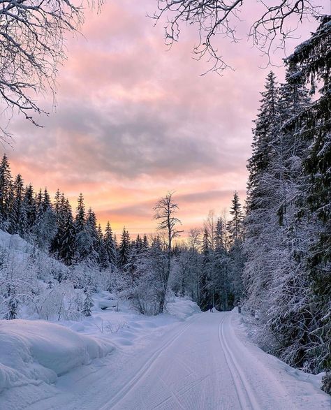 Dreamy Winter Aesthetic, Snow Asthetics Photos, Heavy Snow Aesthetic, Astetic Winter Pictures, Winter Sun Aesthetic, Montana Winter Aesthetic, Colorful Winter Aesthetic, Profile Picture Winter, Aesthetic Winter Photos