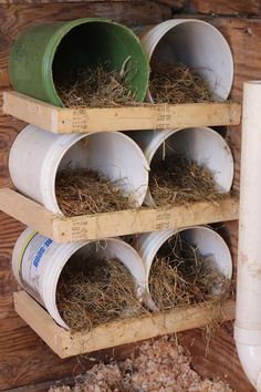 Reban Ayam, Cheap Chicken Coops, Taman Diy, Chicken Coop Garden, Cute Chicken Coops, Easy Chicken Coop, Backyard Chicken Coop Plans, Chicken Coup, Diy Chicken Coop Plans