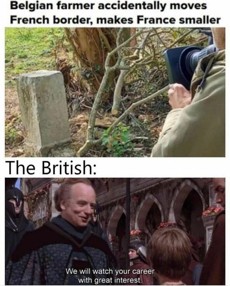 Historical Humor, Funny Dp, History Jokes, Funny Hamsters, British Humor, Funny Disney Jokes, History Nerd, History Humor, In Memes