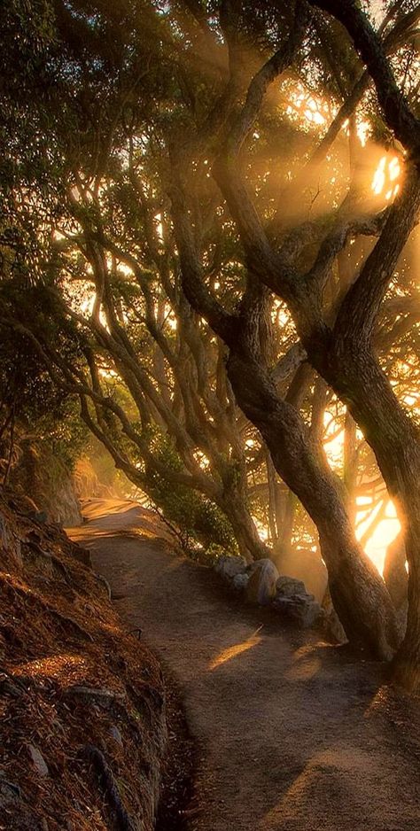 Mount Maunganui base track, Bay of Plenty, New Zealand Path Landscape, Landscape Clouds, Mount Maunganui, Bay Of Plenty, Belle Nature, Image Nature, Pretty Landscapes, Foto Vintage, Alam Yang Indah