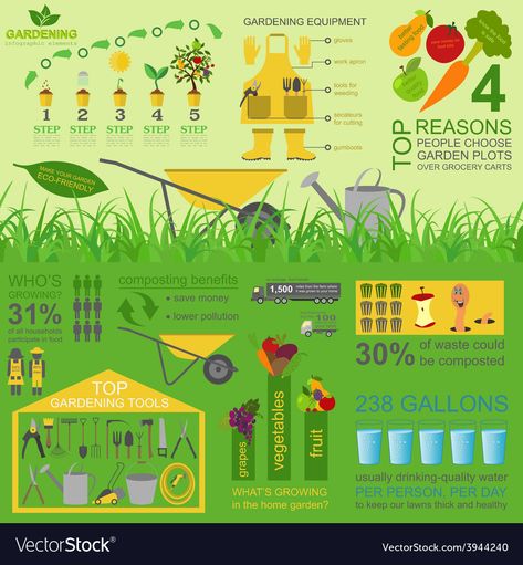 Ebb And Flow Hydroponics, Gardening Infographic, Work Infographic, Hydroponics Diy, Infographic Elements, Solar Energy Diy, Gardening Zones, Garden Plots, Information Overload