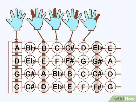 How to Play the Cello (with Pictures) - wikiHow Cello Teaching, Violin Chords, Cello Bridge, Cello Practice, Cello Lessons, Cello Sheet Music, Cello Music, Learn Music, Making Music