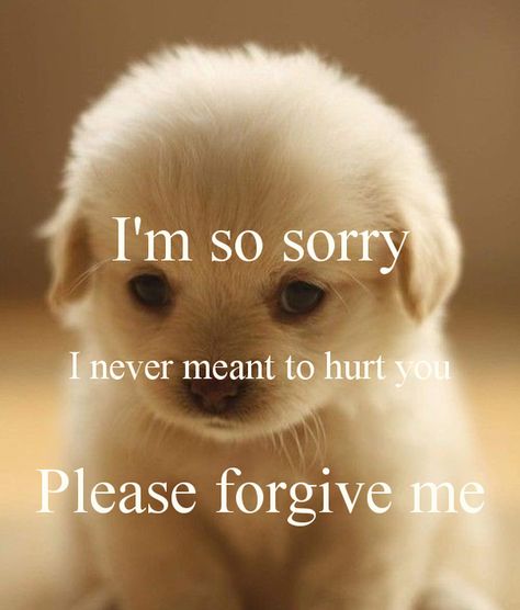 Sorry Quotes For Friend, Asking For Forgiveness Quotes, Apology Quotes For Him, Saying Sorry Quotes, Forgive Me Quotes, I Am Sorry Quotes, Im Sorry Quotes, Sorry Images, Apologizing Quotes