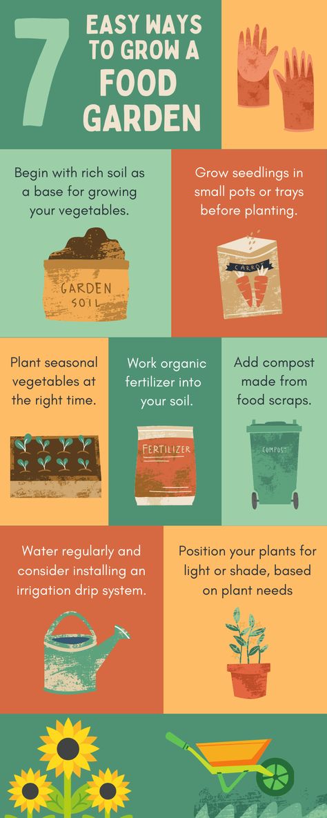 Tips to grow a food garden Cheap Gardening, Gardening Infographic, Frugal Gardening, Carrot Gardening, Seasonal Work, Herbal Education, Starting Seeds Indoors, Planting Ideas, Victory Garden