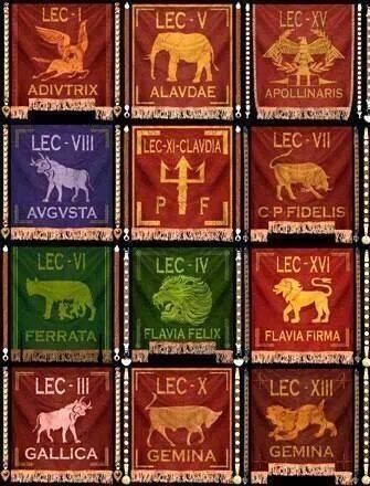 ✖️Individual Roman Legion Banners ✖️More Pins Like This of At FOSTERGINGER @ Pinterest✖️ Animals, Rome, Insect Play, Roman Legion, Ancient Rome, Gold, Quick Saves