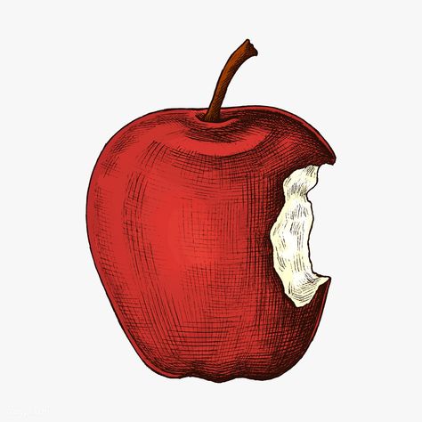 Fresh ripe bitten red apple illustration | premium image by rawpixel.com / sasi Apple Illustration Design, Notion Images, Carrot Drawing, Apple Cartoon, Bitten Apple, Apple Drawing, Food Illust, Pineapple Drawing, Food Paintings