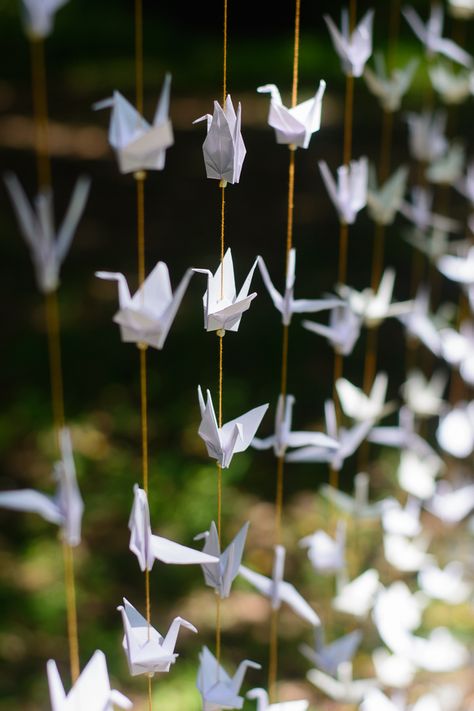 How to Use Origami Paper Cranes For an Amazing Wedding Backdrop Paper Crane Garland Diy, Origami Cranes Aesthetic, Origami Birds Wedding, How To Hang Origami Cranes, Paper Crane Backdrop, Origami Wedding Favors, Hanging Paper Cranes, Paper Crane Garland, Origami Crane Decoration