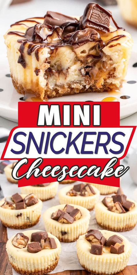 Snickers Mini Cheesecakes, Snickers Cheesecake Bars, My Cheesecake Recipes, Recipes With Snickers, Mini Snickers Cheesecake, Skor Cheesecake Recipes, Bake Sell Recipes, Snickers Cheesecake Apples, Snicker Dessert Recipes