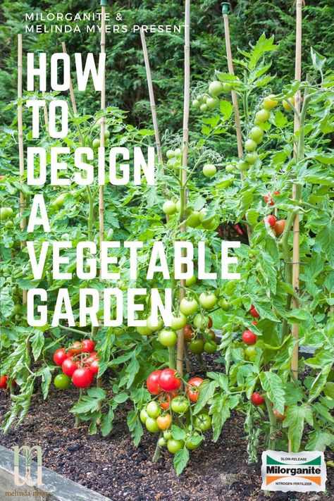 Interplanting Vegetables, Vegetable Planter Boxes, Veggie Garden Design, Veggie Garden Layout, Vegetable Garden Layout Design, Vegetable Garden Layout, Large Garden Planters, Front Yard Landscaping Diy, Garden Planning Layout