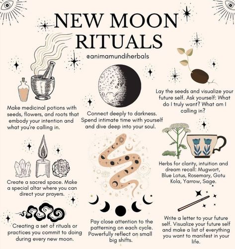 9 Things You Should (and Should Not!) Do During a New 🌑 Moon Spells To Connect With Spirits, Book Of Shadows Pages Ideas, Witch Marks, Witchcraft Knowledge, Shadow Journal, Types Of Witches, Spiritual Understanding, Witchy Journal, Supraviețuire Camping