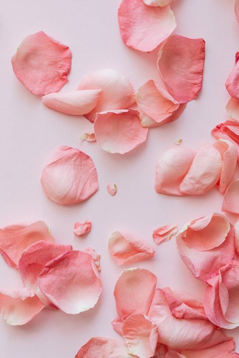 Layout of colorful fresh flowers and plants · Free Stock Photo Rose Petals Wedding, Popular Scents, Increase Confidence, Wedding Aisle Decorations, Wedding Petals, Flower Girl Basket, Pink Petals, Wedding Aisle, Soap Bar