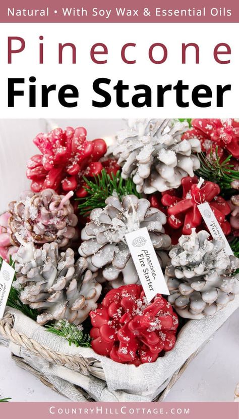 Scented Pinecones Diy, Pinecone Firestarters, Firestarters Diy, Homemade Fire Starters, Cone Ideas, Pinecone Fire Starters, Campfire Fun, Fire Starters Diy, Scented Pinecones