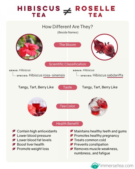 Hibiscus Tea VS Roselle Tea (infographic) Infographic Essen, Tea Infographic, Roselle Tea, Hibiscus Tea Benefits, Hibiscus Flower Tea, Herbal Tea Benefits, Healing Tea, Herbal Teas Recipes, Tea Health Benefits