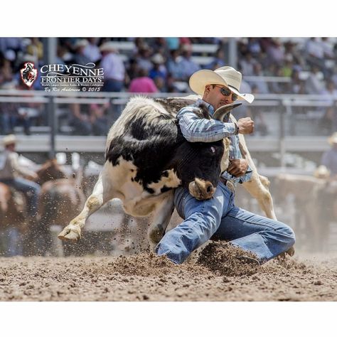 Dirk Tavenner PRCA steer wrestler Steer Wrestling, Cowboy Rodeo, Rodeo, Cowboy, Wrestling, Stars, Animals