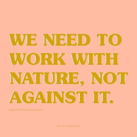 Nature, Ecofriendly Quotes, Quotes Environment, David Attenborough Quotes, Ecology Quotes, Activist Quote, Restaurant Quotes, Eco Club, Eco Quotes