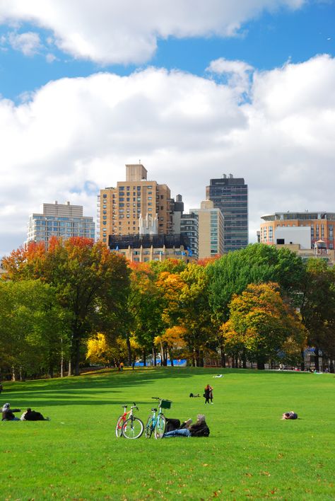 Central Park is the best urban park in the US. Located in Manhattan, New York City it is an urban oasis that is a must visit. Hamburg, New York Sightseeing, 숲 사진, Nyc Spots, Nyc Fall, Travel Apps, Central Park New York, Travel Partner, Park In New York