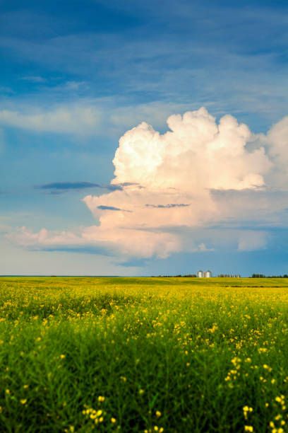 Landscape For Painting Reference, Cloudy Landscape Photography, Colourful Landscapes Photography, Clouds Landscape Photography, Cloud Landscape Painting, Landscape Photo Reference, Landscape Images Photography, Shelley Core, Landscape Pictures Aesthetic