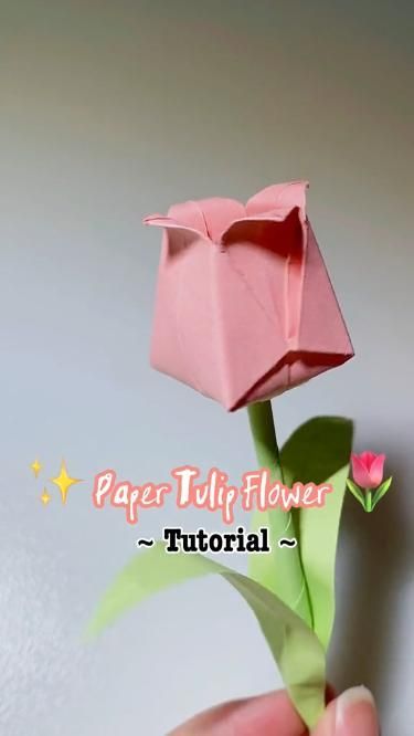 Check out this gorgeous paper tulip! Click the link in my bio for all your origami paper needs! Video credit: Lini Trinh Aktiviti Tadika, Hadiah Diy, Kad Nama, Organizator Grafic, Daisy Crochet, Tutorial Origami, Cute Origami, Craft Flower, Origami Flower