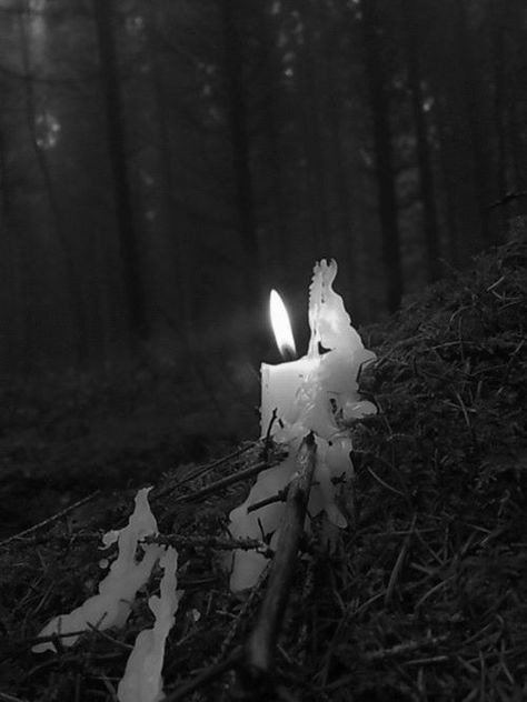 Burning Candle in the woods Book Of Shadows, Hawke Dragon Age, Candle Magick, Beltane, Witch Aesthetic, Candle Magic, Samhain, Enchanted Forest, Yule