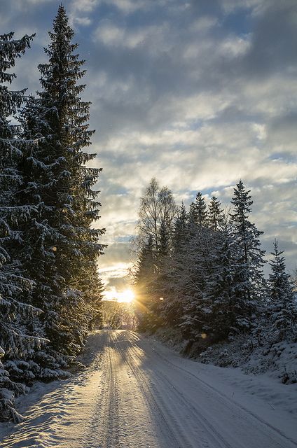 Winter road by Lake Ånøya, just outside Trondheim, Norway. Lillehammer, Trondheim, Winters Tafereel, Winter Outside, Follow The Light, Trondheim Norway, Winter Road, Winter Magic, Winter Scenery