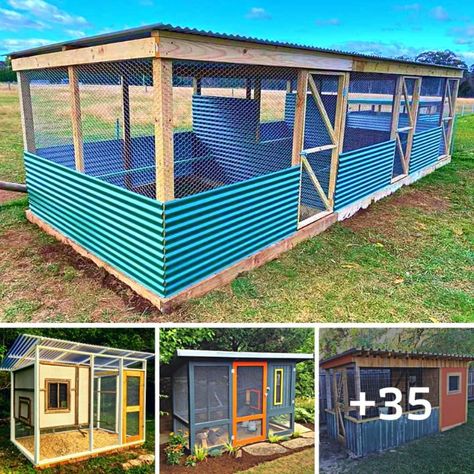 HOME IDEA - 35 Cheap and Easy Chicken Coops That Your Hens... Diy Chicken Coop Laying Boxes, Diy Simple Chicken Coop, Budget Chicken Coop, Chicken Coop Diy Cheap, Simple Chicken Coop, Decorating Backyard, Modern Chicken Coop, Chicken Coop Building Plans, Chicken Coop Designs Diy