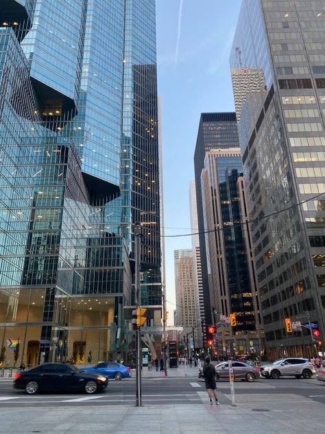 Toronto Buildings Aesthetic, York University Toronto Aesthetic, Toronto Downtown Aesthetic, Toronto Astethic, Toronto University Aesthetic, Toronto Aesthetic Summer, Toronto Summer Aesthetic, Uoft Toronto Aesthetic, High Rise Aesthetic