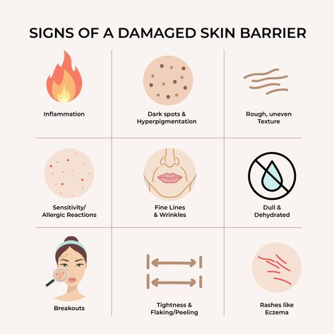 Healthy Skin Tips, Damaged Skin Barrier, Skin Facts, Esthetician Marketing, Skin Care Business, Skin Advice, Skin Aesthetics, Skin Science, Skin Clinic