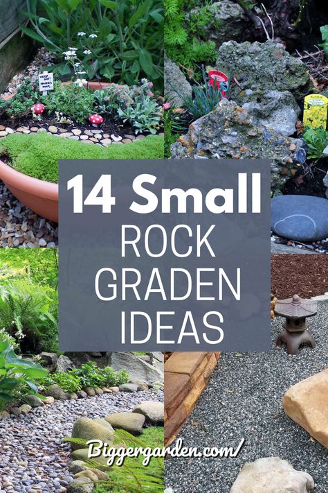 Elevate your gardening sanctuary with 14 Small Rock Garden Ideas that seamlessly blend nature's beauty with elegant rock formations. Get ready to embark on a visual journey, exploring innovative concepts to transform your outdoor space into a botanical masterpiece. Ready to turn your garden dreams into reality? Click here for a garden revolution and follow us for endless inspiration! Small Rock Garden, Mini Rock Garden, Small Rock Garden Ideas, Backyard Rock Garden, Diy Rock Garden, Rock Flower Beds, Rock Planters, Rockery Garden, Rock Garden Ideas