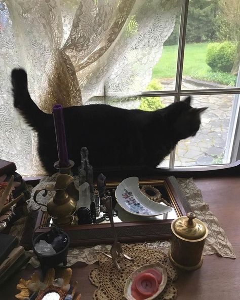 Witch Core, Cottage Witch, Witch Cottage, Full Moon Night, Magic Aesthetic, Witch Cat, Modern Witch, A Black Cat, Season Of The Witch