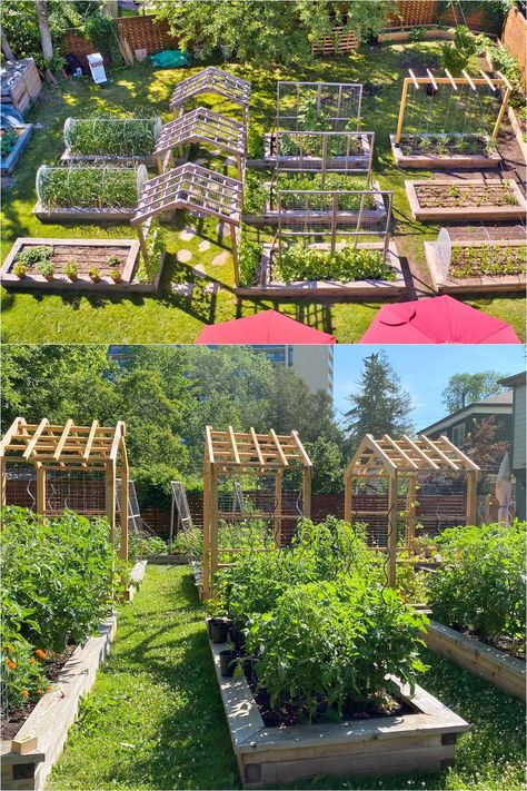 25 best vegetable garden design ideas & easy layout plans for beginners & pros to grow your own food in a front or backyard edible landscape. - A Piece of Rainbow, kitchen garden, vegetable gardening ideas, small space tips, grow your own food, herbs, homestead, homesteading, spring, summer, raised beds, trellis, greenhouse, DIY Permaculture, Large Garden Design, Alabama Garden, Outdoor Trellis Ideas, Raised Bed Garden Layout, Future Background, Veggie Garden Layout, Vegetable Garden Layout Design, Backyard Raised Garden