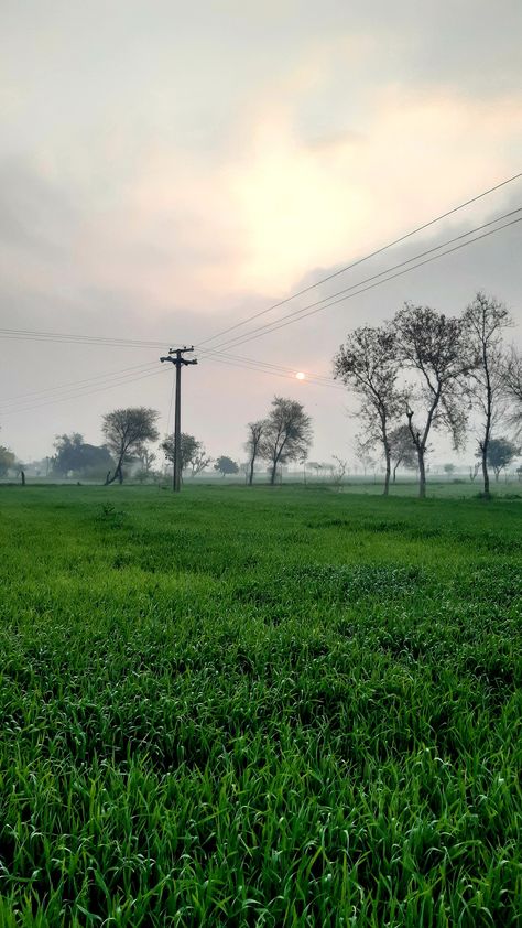 Nature, Village Morning Photography, Village Morning, India Aesthetic, Cloudy Morning, Morning Photography, Weather Cloud, Fire Alarm System, Village Photos